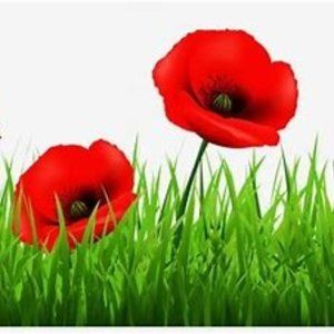 Meet your Posher, Poppy & Isabel